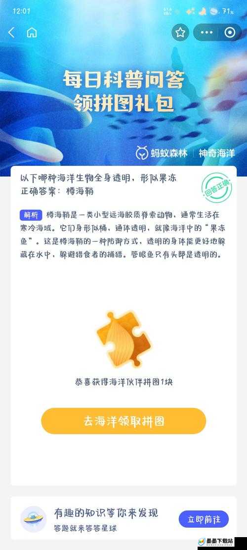 支付宝神奇海洋功能解析，好友排名查看技巧及其在个人资源管理中的应用价值