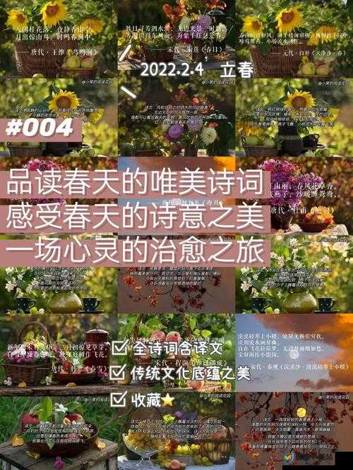 你是我的春天0701温情定档，盛夏时节共赴一场心灵治愈之旅