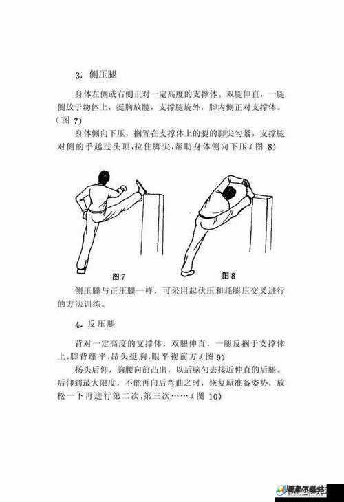 申鹤腿法娴熟脚法教学：助您成为腿法高手的秘籍指南