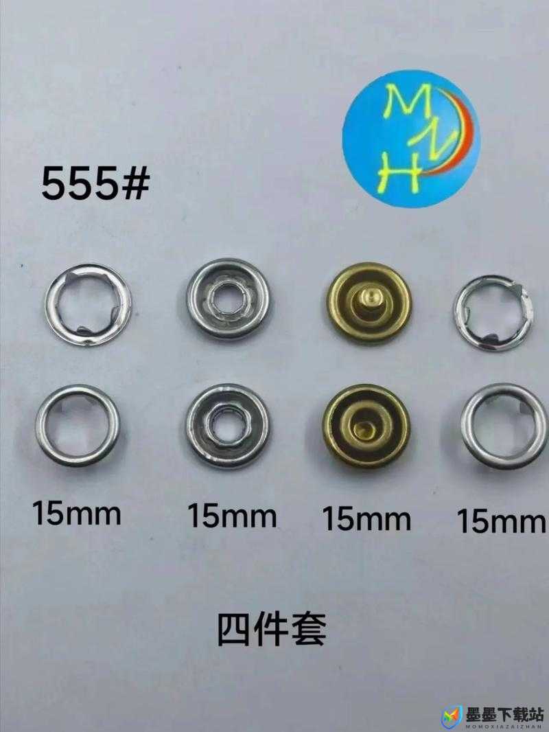 色带 9mm12mm 之独特魅力与应用探讨