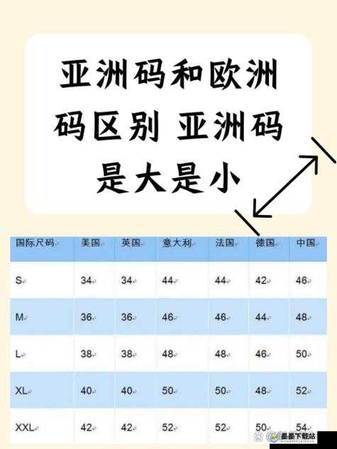 亚洲 M 码与欧洲 S 码区别到底在哪里详细解读