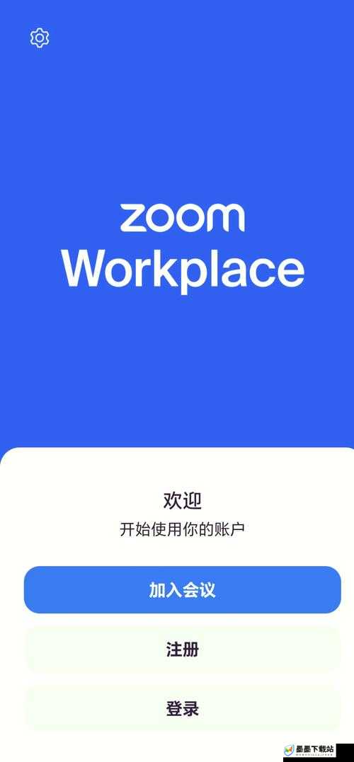 美国 ZOOM 人与 ZOOM 欧：关于他们的故事与发展探讨