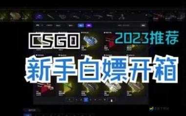 csgo 白嫖网站，免费畅玩的游戏天堂