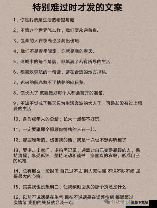 单身狗的伤感文案，探索情感资源管理中的艺术表达与实践策略