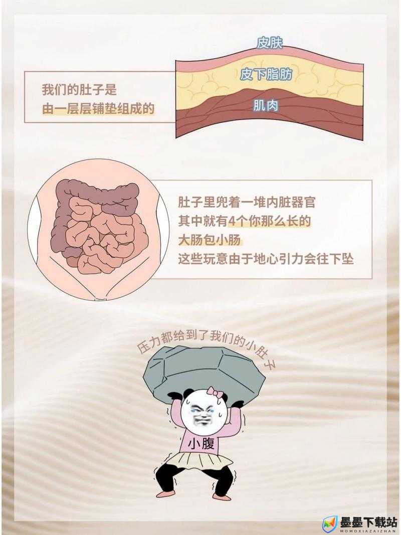 小肚子灌得鼓鼓：探寻其背后的原因及影响和应对策略