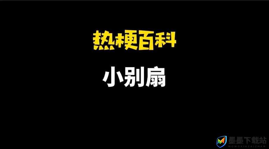 解析小别扇含义及其梗在虚拟资源管理中的应用与重要性