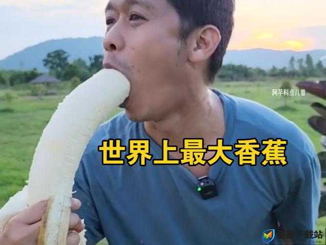 大香蕉大香蕉网：畅享独特精彩网络世界