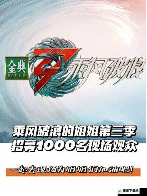 乘风破浪宣传片抄袭风波，深入剖析资源管理、高效使用策略及避免浪费之道