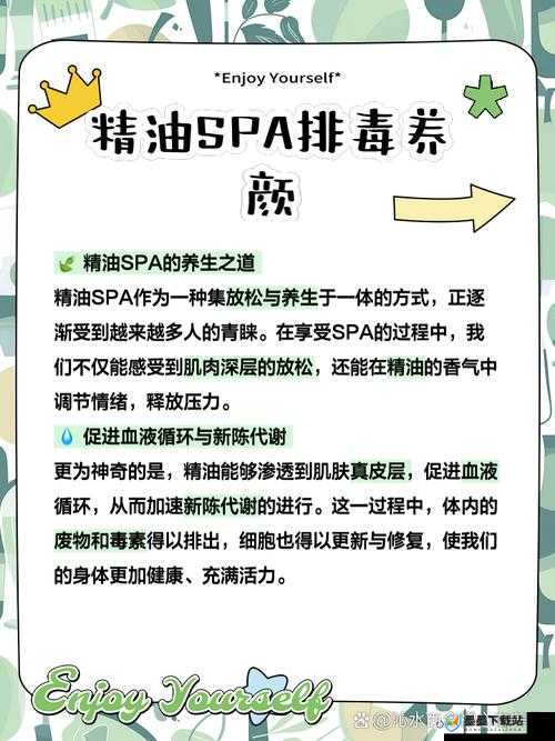 如何选择适合自己的按摩 SPA 养生精油：成分、功效与使用方法