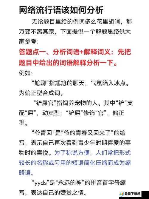 解析网络用语炫的含义及其在资源管理、游戏应用中的体现