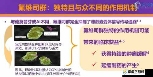 深空之眼，全面解析偏移质素作用及高效资源管理策略指南