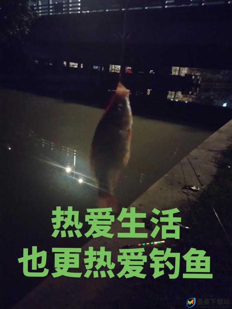 晚安森林新体验，解锁专属鱼竿，于静谧之夜开启悠然垂钓探险之旅