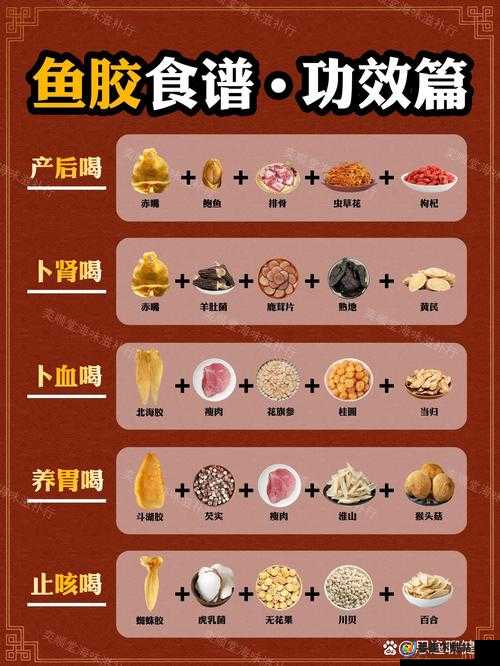 人狗胶配方大全免费：制作方法、功效与注意事项全解析