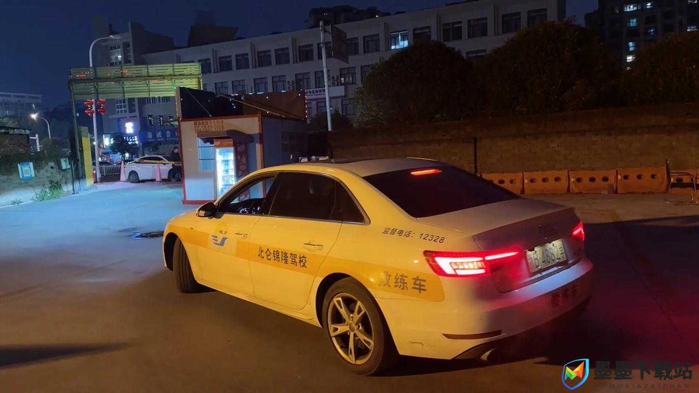 夜间坐教练身上练车：令人震惊的学车方式引争议