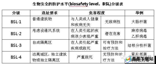 年下时也 1lh：关于它的详细解读与深入分析