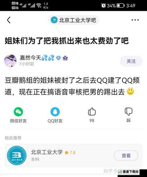 豆瓣鹅组停用事件，全面深度解析背后的原因、影响与未来展望