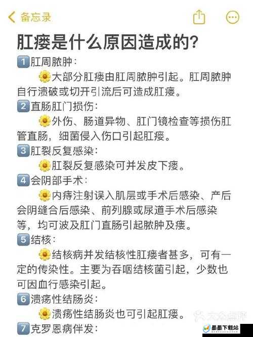 老妇肛交的真实故事：揭秘这一现象背后的社会与心理因素探讨