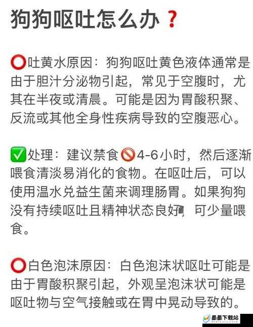 人渣SCUM游戏中生病了呕吐不止，该如何有效治疗恢复健康？