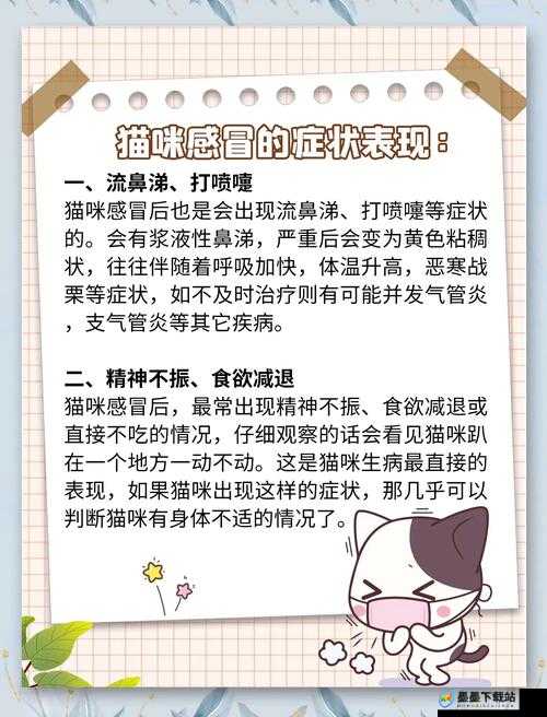 猫咪感冒会流口水吗？了解猫咪感冒症状及护理方法