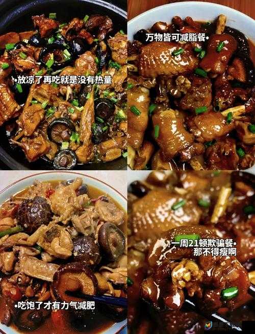 波西亚时光里如何制作美味的蘑菇炖肉？详尽菜谱烹饪配方揭秘！