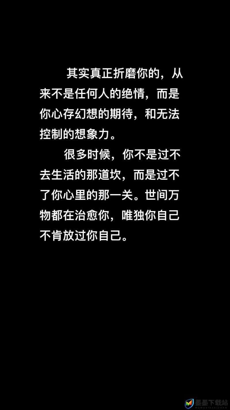 午夜精品网精选：深夜必看的独家内容推荐，满足你的所有期待与好奇心