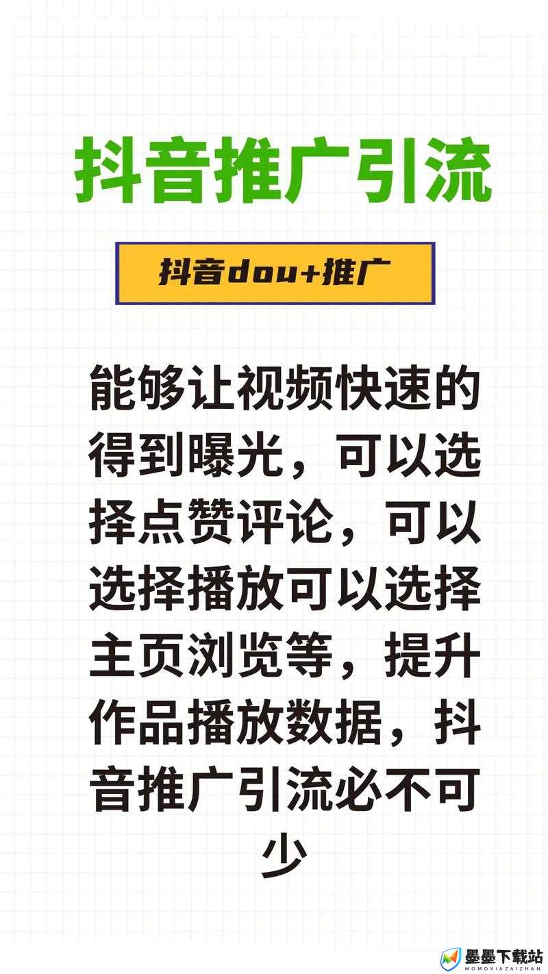 国际抖抈 2024 究竟是什么？它有怎样的特点和影响力？快来一探究竟