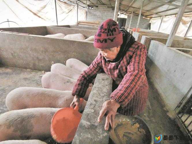 偷拍东北老女人日常生活：揭秘她们的独特魅力与坚韧精神，你不可错过的真实记录