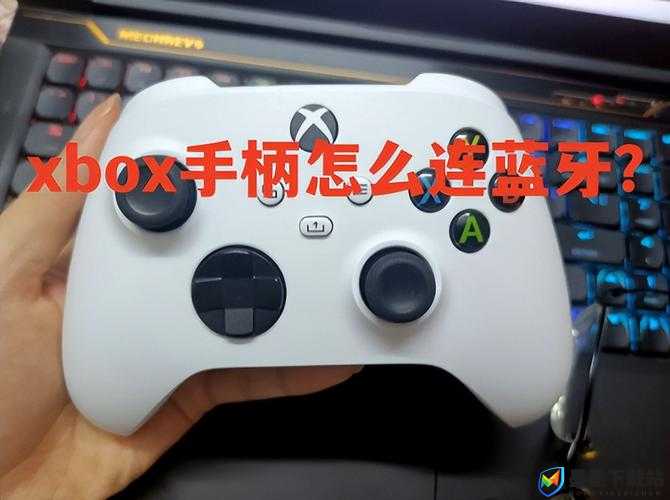 真三国无双8，Xbox手柄不能用怎么办？Xbox手柄不能用解决方法演变史