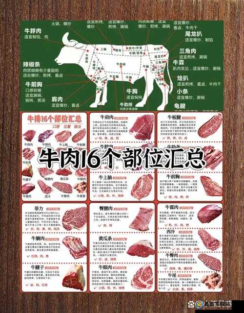 孤岛惊魂5哪里可以获得牛肉？牛肉获取方法介绍